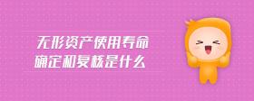 無形資產(chǎn)使用壽命確定和復(fù)核是什么