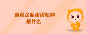 合營企業(yè)組織機(jī)構(gòu)是什么