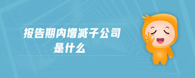 報告期內(nèi)增減子公司是什么