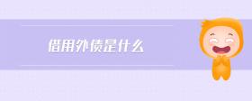 借用外債是什么