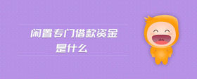 閑置專門借款資金是什么
