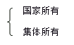 我國(guó)土地所有權(quán)