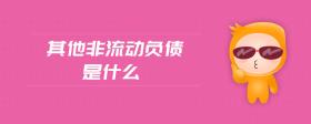 其他非流動(dòng)負(fù)債是什么