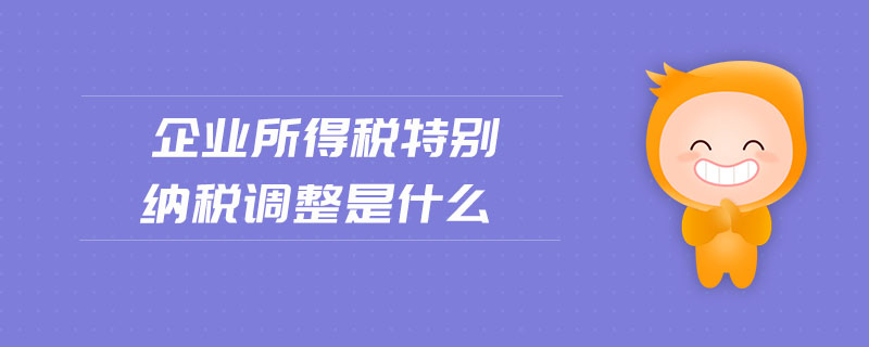 企業(yè)所得稅特別納稅調整是什么