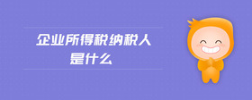 企業(yè)所得稅納稅人是什么