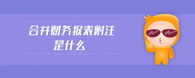 合并財(cái)務(wù)報(bào)表附注是什么