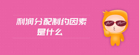 利潤(rùn)分配制約因素是什么