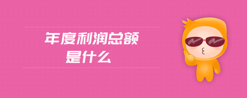 年度利潤(rùn)總額是什么