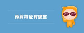 預算特征有哪些