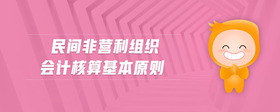 民間非營(yíng)利組織會(huì)計(jì)核算基本原則