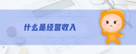 什么是經(jīng)營(yíng)收入