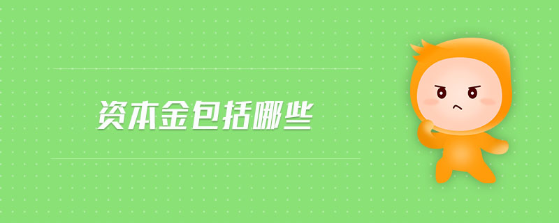 資本金包括哪些