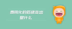 費(fèi)用化的后續(xù)支出是什么