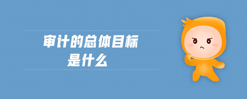 審計(jì)的總體目標(biāo)是什么