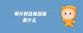 審計(jì)的總體目標(biāo)是什么
