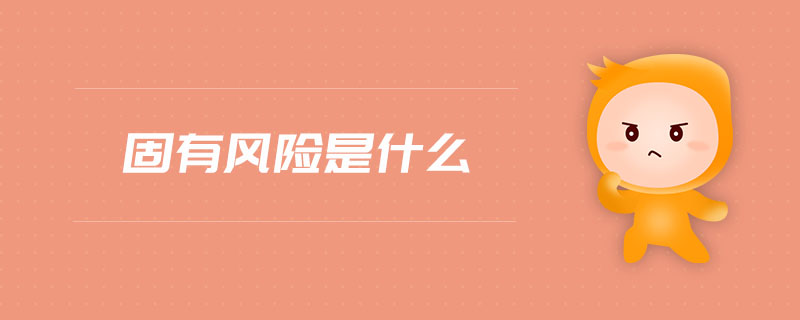 固有風險是什么