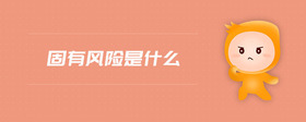固有風險是什么