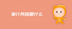 審計風險是什么