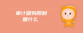 審計固有限制是什么