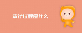審計過程是什么
