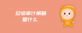 總體審計策略是什么