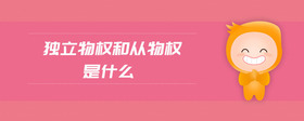 獨(dú)立物權(quán)和從物權(quán)是什么