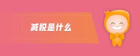減稅是什么