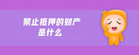 禁止抵押的財(cái)產(chǎn)是什么
