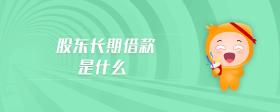 股東長(zhǎng)期借款是什么