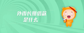 外幣長期借款是什么