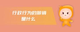行政行為的撤銷是什么