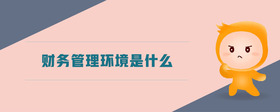 財務(wù)管理環(huán)境是什么