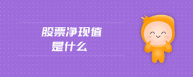 股票凈現(xiàn)值是什么