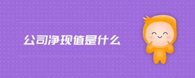 公司凈現(xiàn)值是什么