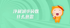 凈利潤率負數(shù)什么意思