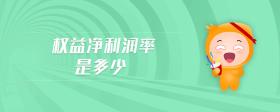 權(quán)益凈利潤率是多少