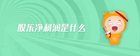 股東凈利潤是什么