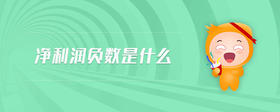 凈利潤負數(shù)是什么