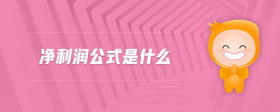 凈利潤公式是什么