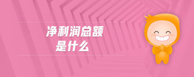 凈利潤總額是什么