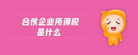 合伙企業(yè)所得稅是什么