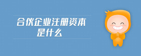 合伙企業(yè)注冊資本是什么