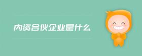 內(nèi)資合伙企業(yè)是什么