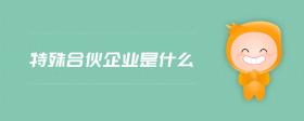 特殊合伙企業(yè)是什么