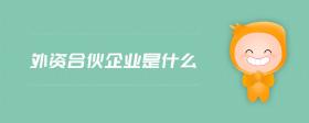 外資合伙企業(yè)是什么