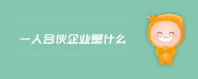 一人合伙企業(yè)是什么