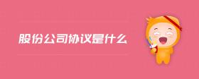 股份公司協(xié)議是什么