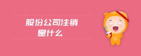 股份公司注銷是什么