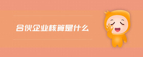 合伙企業(yè)核算是什么