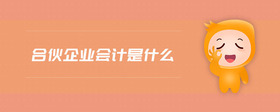 合伙企業(yè)會(huì)計(jì)是什么